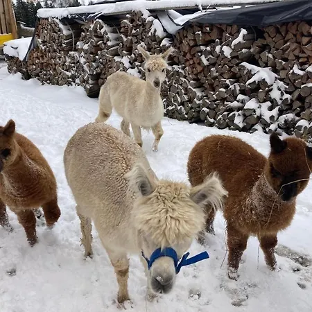 Grillinghof 农家乐 *