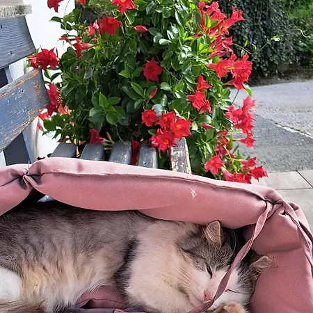 Grillinghof Alloggio per agriturismo