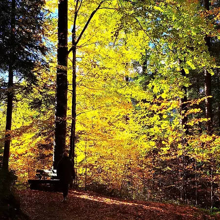 Grillinghof בית חווה *