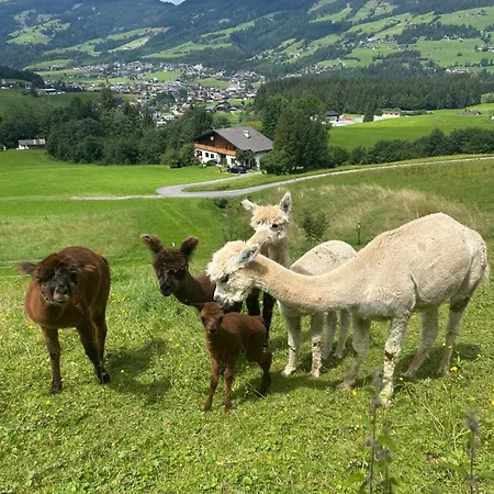 Grillinghof * Kirchberg in Tirol