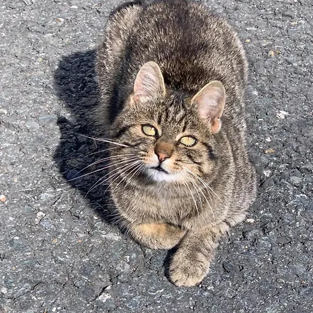 Alloggio per agriturismo Grillinghof