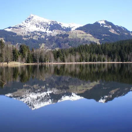 Alloggio per agriturismo Grillinghof Kirchberg in Tirol