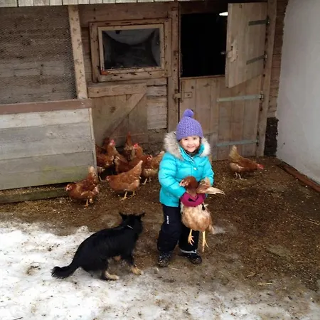 Grillinghof 农家乐 蒂罗尔-基希贝格