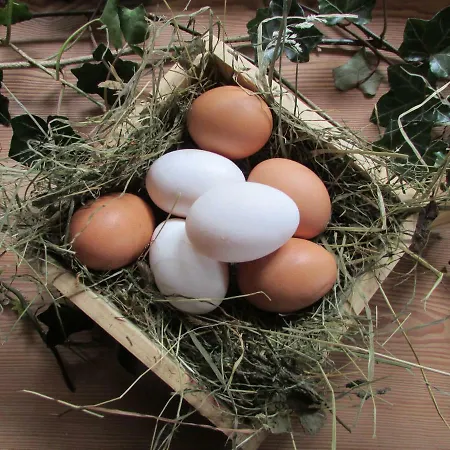 Alloggio per agriturismo Grillinghof