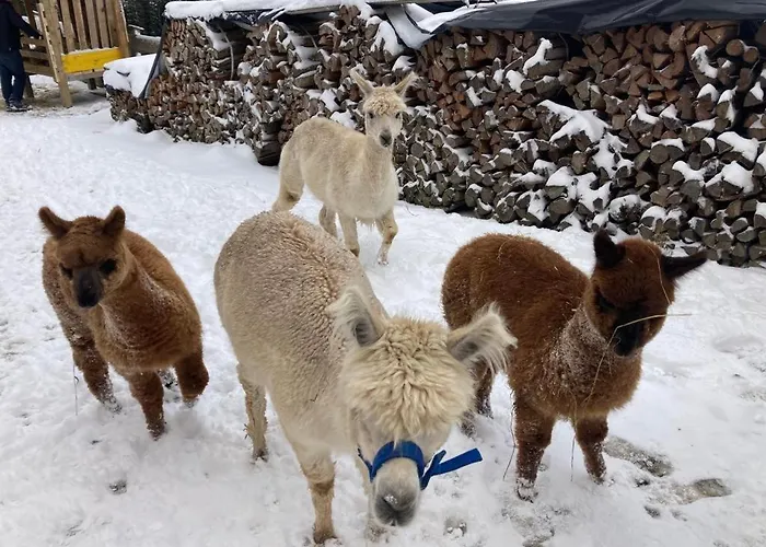 Grillinghof Vakantieboerderij *