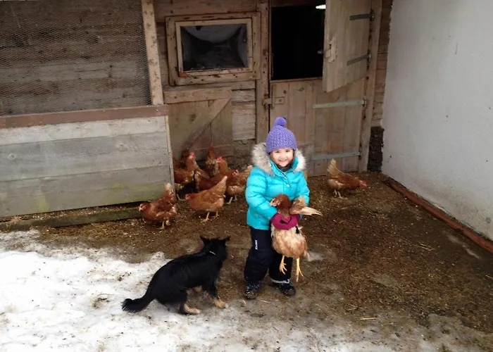 Grillinghof Feriegård Kirchberg in Tirol