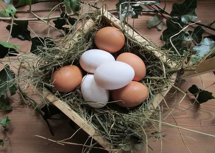 Farmház Grillinghof