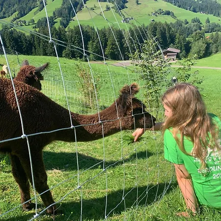 Grillinghof Kirchberg in Tirol