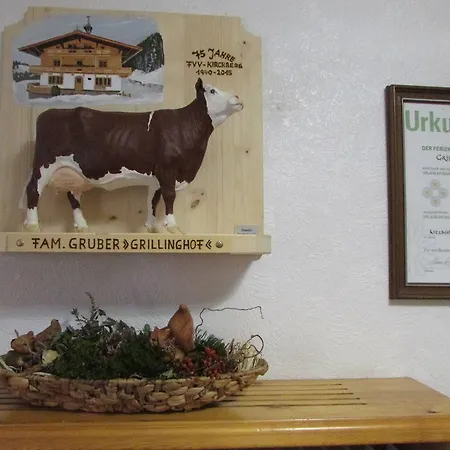 Grillinghof * キルヒベルク・イン・チロル